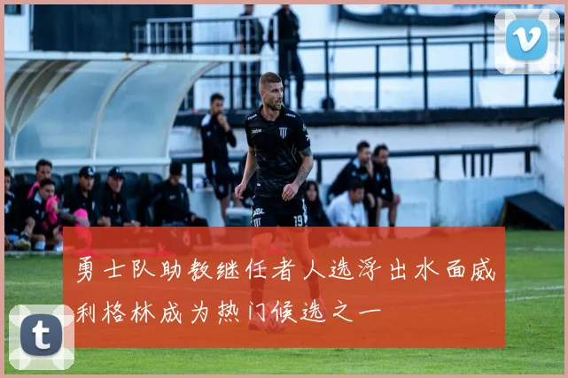 勇士队助教继任者人选浮出水面威利格林成为热门候选之一
